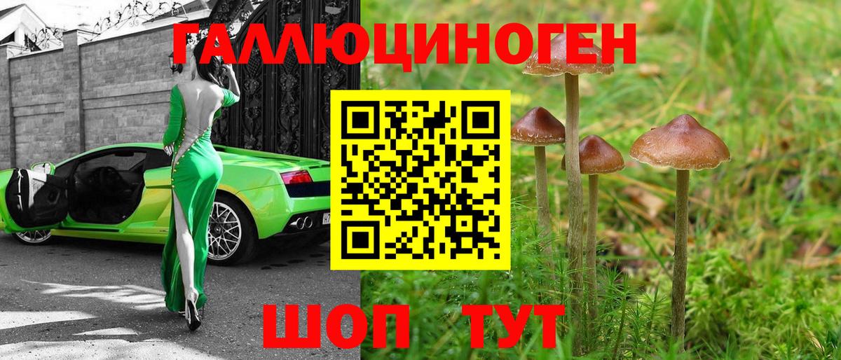 магазин продажи наркотиков  Галлюциногенные грибы Psilocybe  Псилоцибиновые грибы ЛСД  Вход с VPN  Нягань 