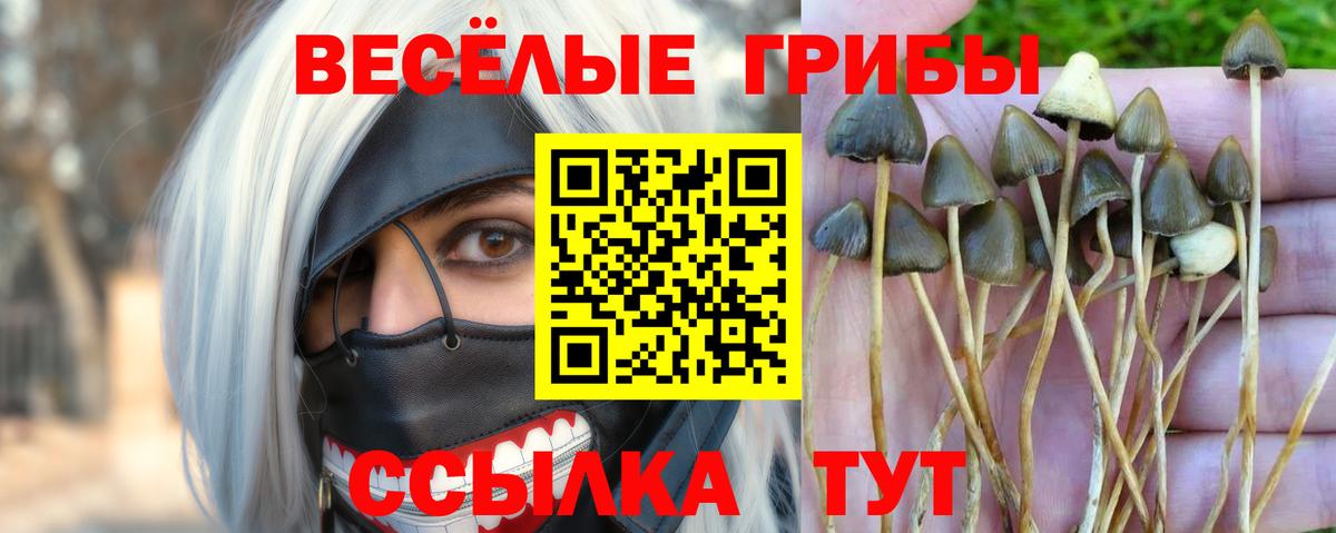 Галлюциногенные грибы прущие грибы Нягань